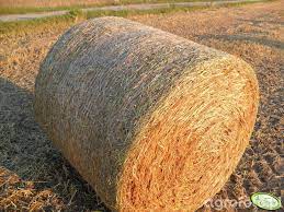 Сельскохозяйственная сетка Рубанет 1,23х2000