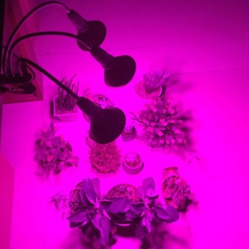 ДЕРЖАТЕЛЬ ЛАМПЫ ДЕРЖАТЕЛЬ ЛАМПОЧКИ 5xE27 + ЗАЖИМ