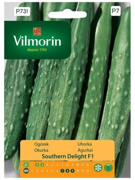 Ogórek SOUTHERN DELIGHT F1 pod osłony Vilmorin 1g