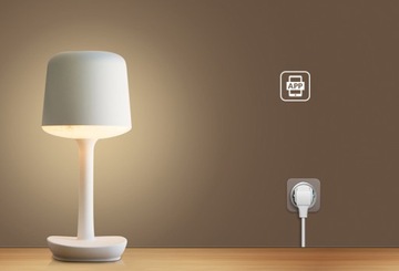 ИНТЕЛЛЕКТУАЛЬНАЯ РОЗЕТКА ZIGBEE SMART LIFE TUYA 16A