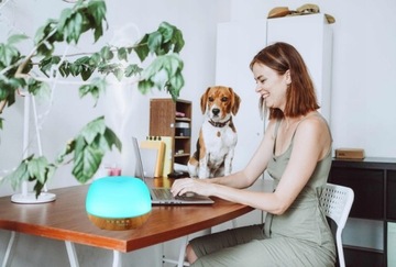 AROMA SPHERE 2 Dyfuzor z Amazona z BLUETOOTH i mega mocnym wyrzutem pary.