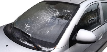 КОВРИК ДЛЯ АВТОМОБИЛЯ НЕМОРОЗНЫЙ, ANTI-FROST, XL
