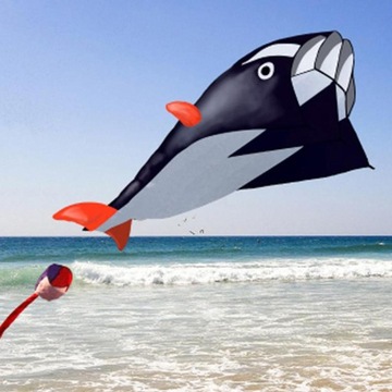 Бескаркасный мягкий воздушный змей-парафойл.