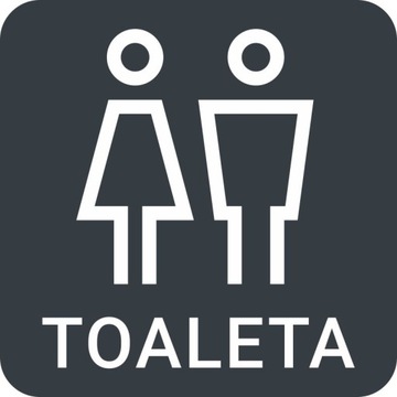 TABLICZKA Piktogram Toaleta WC Antracyt Aluminium