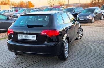 Audi A3 8P Hatchback 3d 1.6 102KM 2008 Audi a3 1,6 MPI 102 km 1.6 Benzyna 102KM, zdjęcie 2