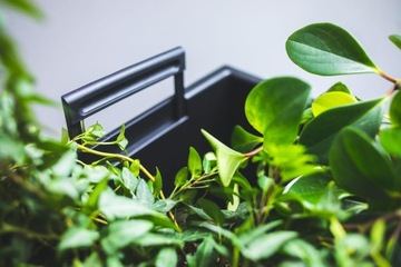 ЦВЕТОЧНЫЙ ВАЗ БЕЛЫЙ КОВРИК ЦВЕТОЧНАЯ ЯЩИКА САДОВАЯ ЯЩИКА ДЛЯ БАЛКОНА + ВСТАВКА