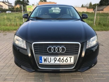 Audi A3 8P Hatchback 3d 1.6 102KM 2009 Audi A3 1.6 MPI 102 KM, zdjęcie 1