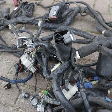 Honda Goldwing GL 1800 Главный жгут проводов 2001-05 гг.