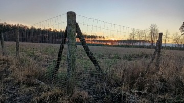 СЕТКА ДЛЯ ЗАБОРА ЛЕСНАЯ 120/9/30 L - рулон 50 м - поля, сады, лесное строительство