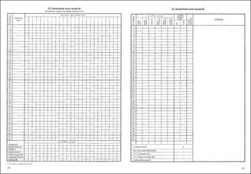 Журнал уроков I/3 для всех. типы школ - 11ч.