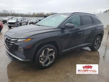 Hyundai Tucson IV 2024 Hyundai Tucson 2024 2.5L AWD SEL 2.5 Benzyna 187KM