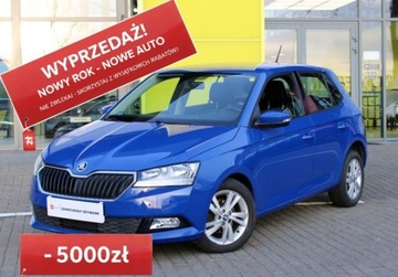 Skoda Fabia III Hatchback Facelifting 1.0 TSI 95KM 2020 Skoda Fabia 1.0 TSI 95KM M5 Ambition Czujniki parkowania SmartLink SalonPL, zdjęcie 1