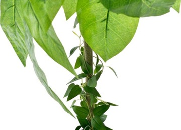 ИСКУССТВЕННОЕ ДЕРЕВО ЛИСТЬЯМИ МАНГО ЦВЕТОЧНЫЙ ГОРШОК УКРАШЕНИЕ ДЛЯ ГОСТИНОЙ ИСКУССТВЕННЫЕ ЦВЕТЫ ОТЕЛЯ