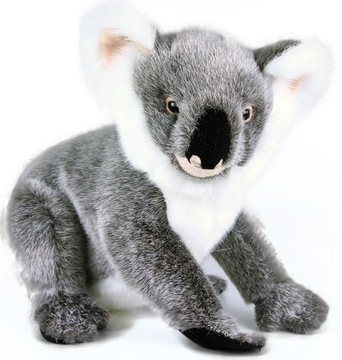 MIŚ KOALA REALISTYCZNA MASKOTKA EKO KOALA BEAR 25c