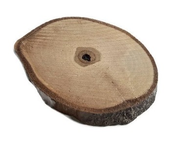 Drewniane Plastry drewna orzech 6-14 cm pieńki