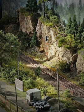 Фреон DJ2 - Дуб Осенний, высота 14-16 см.