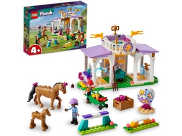 LEGO Friends Szkolenie koni 41746
