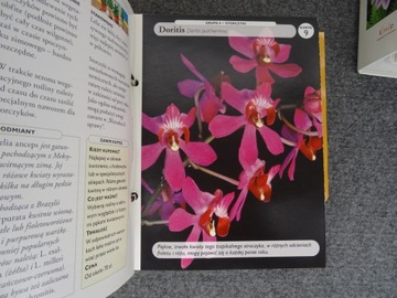 Набор из 6 каталогов ДОМ, ПОЛНЫЙ ЦВЕТОВ Азбука горшечных растений