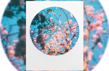 Wkłady POLAROID Kolor 600 Film 8 arkuszy