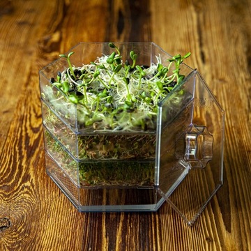 Многоуровневый ящик для проращивания Nice Herb Set
