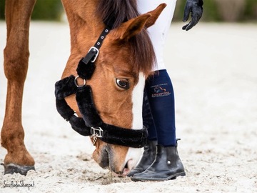 Носки для верховой езды с силиконом SPJT - микрофибра.