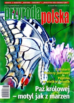 Przyroda Polska nr 6/2023. Paź królowej - motyl...