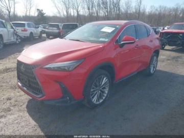 Lexus NX II 2022 Lexus NX 2022 LEXUS NX 350H PREMIUM 2.5 Hybryda 189KM, zdjęcie 2