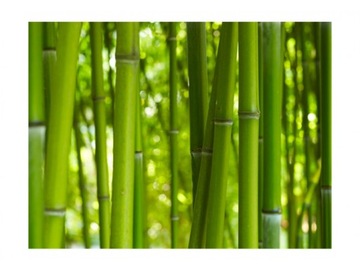 BAMBOO SOAP BOX деревянная бамбуковая мыльница