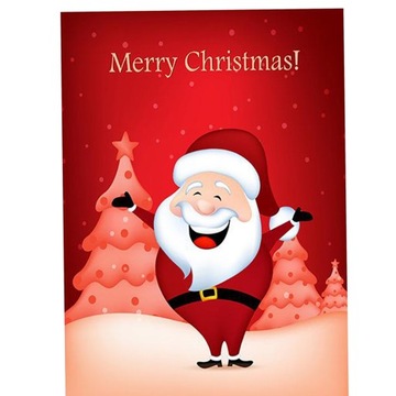 Двусторонний Санта-Клаус для вашего сада.