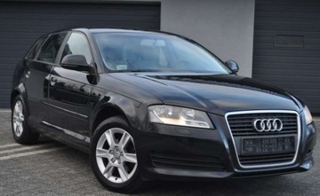 Audi A3 Audi A3 1.6 Attraction