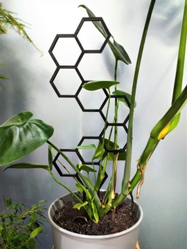 ПОДДЕРЖКА ДЛЯ ЦВЕТОВ ПЕРГОЛА МЕДОВАЯ 47см XL