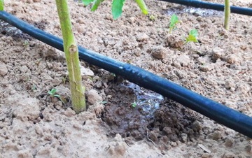 Комплект Некомпенсированная капельная линия 50 м + 50 штифтов / 87 аксессуаров