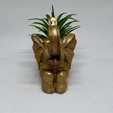 Статуэтка СЛОН с суккулентом, ЗОЛОТО, 10 см