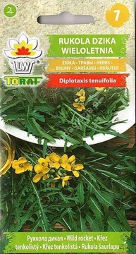 RUKOLA DZIKA WIELOLETNIA 1 g ' T