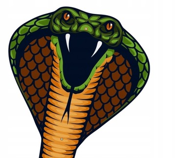 LATAWIEC COBRA 69X400CM NYLON (1154)