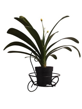 Металлическая настенная подставка для цветов, подставка, держатель на створку