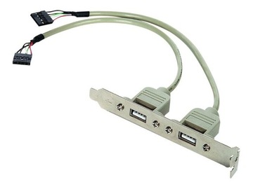 GEMBIRD CCUSBRECEPTACLE Розетка Gembird, направляющая для корпуса 2XUSB