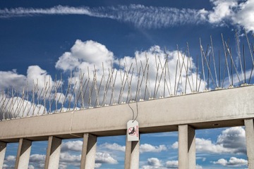 САМЫЕ ТОЛСТЫЕ ПРОЧНЫЕ ШИПЫ ДЛЯ ПТИЦ, НЕРЖАВЕЮЩИЕ ШИПЫ ДЛЯ ГОЛУБИ НЕРЖАВЕЮЩИХ ПРЯМО ИЗ ПОЛЬШИ