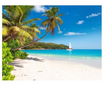 Fototapeta 368x280cm Piaszczysta plaża z palmami
