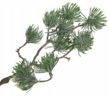 GAŁĄZKA CHOINKI JODŁY ŚWIERKU OZDOBNA NA STROIK