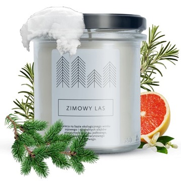 HAGI Świeca Sojowa - Zimowy Las 230g