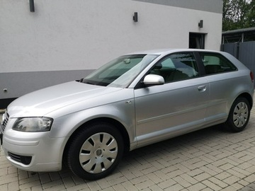 Audi A3 8P Hatchback 3d 1.9 TDI 105KM 2007 Audi A3 1.9 TDI 105KM Klima Elektryka Po wymianie, zdjęcie 9