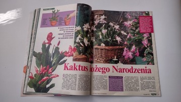 Мой прекрасный сад 12/96