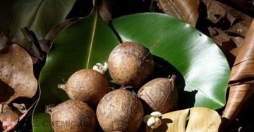 МАСЛО ТАМАНУ НЕРАФИНИРОВАННОЕ ХОЛОДНОГО ОТЖИМА 30мл