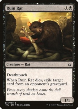 MtG: Ruin Rat (HOU)