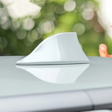 ANTÉNA PLOUTEV ŽRALOK SPECIÁLNÍ Z PUSTYM-4912