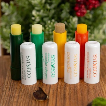 SYLVECO Мятная помада с пилингом