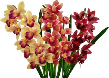 ORCHIDEA SZTUCZNY STORCZYK KWIATY DONICZKA LIŚCIE