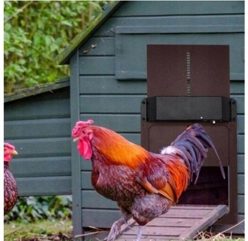 Автоматическая дверь для курятника Интеллектуальная дверь