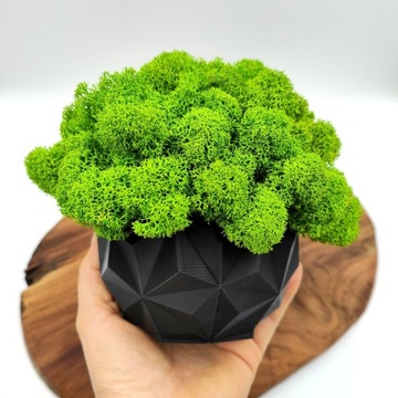 Doniczka z mchem chrobotkiem MECH CHROBOTEK w doniczce czarna druk 3d #2